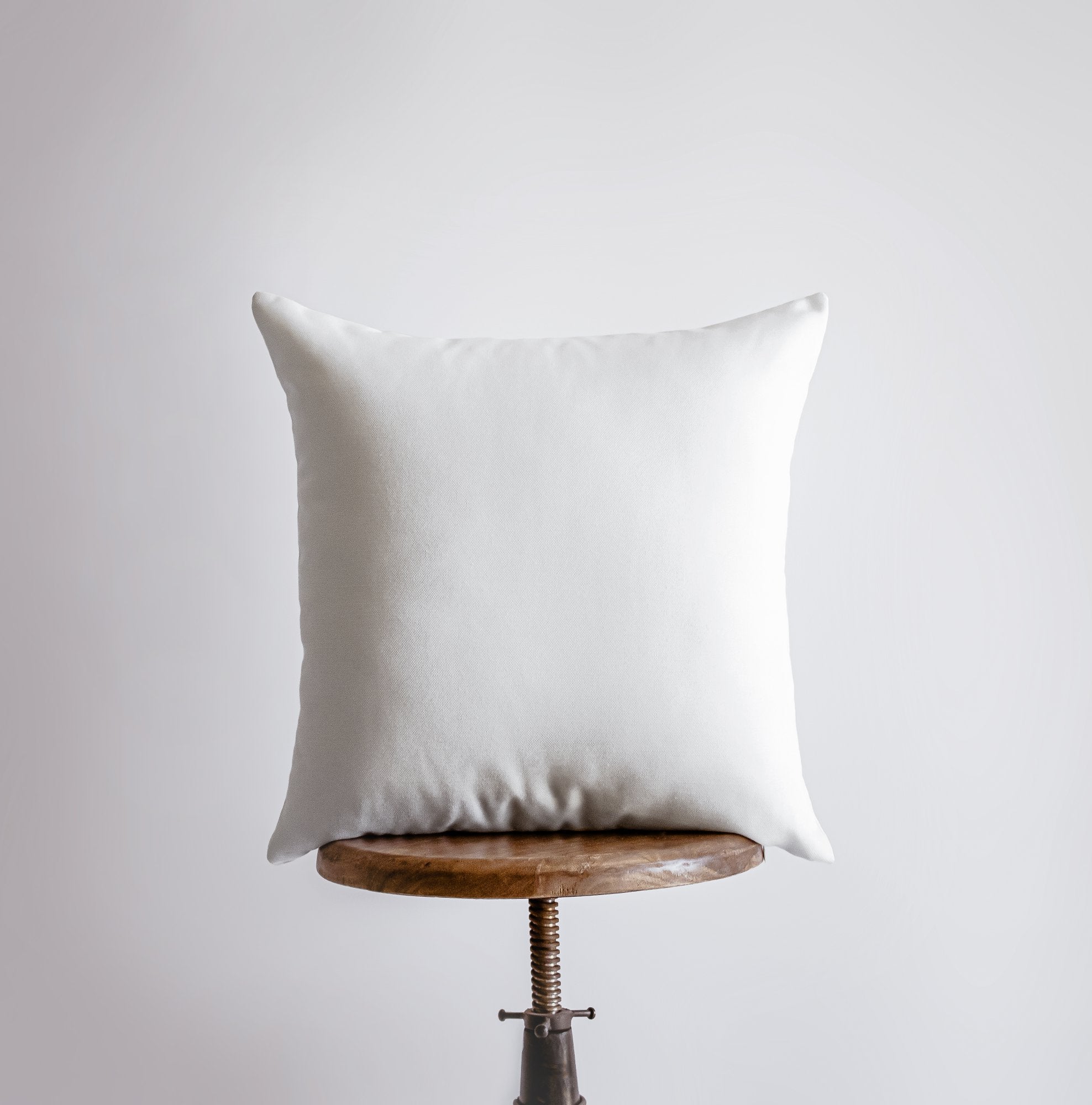 Red Squirrel Cabin Throw Pillow Cover