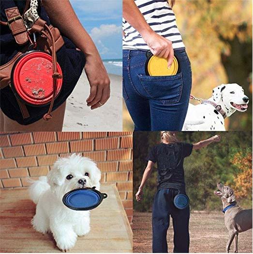 Collapsible Dog Bowls – Travel-Friendly & Durable