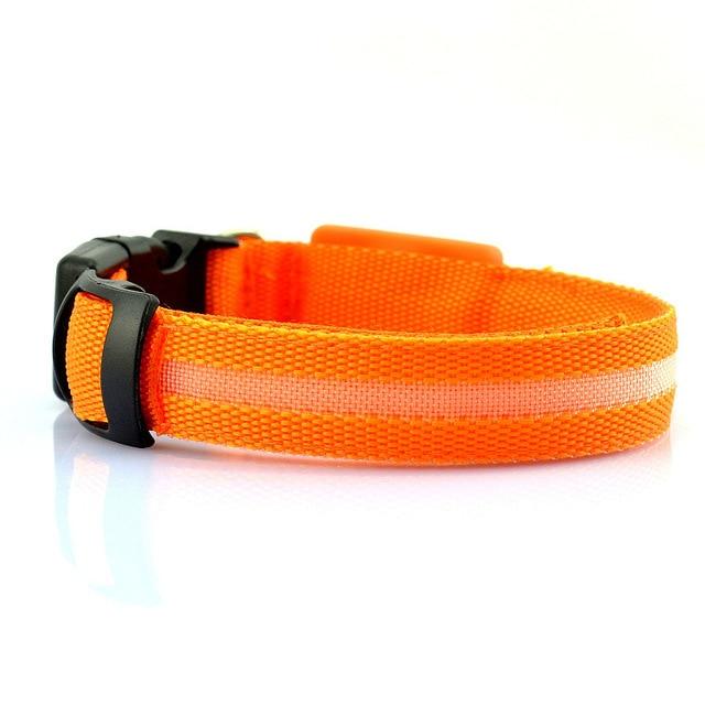 USB Rechargeable LED Pet Dog Collar