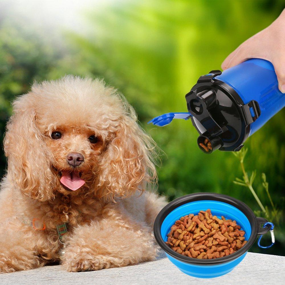 2-in-1 Dog Drinking Water Bottle with Collapsible Bowl