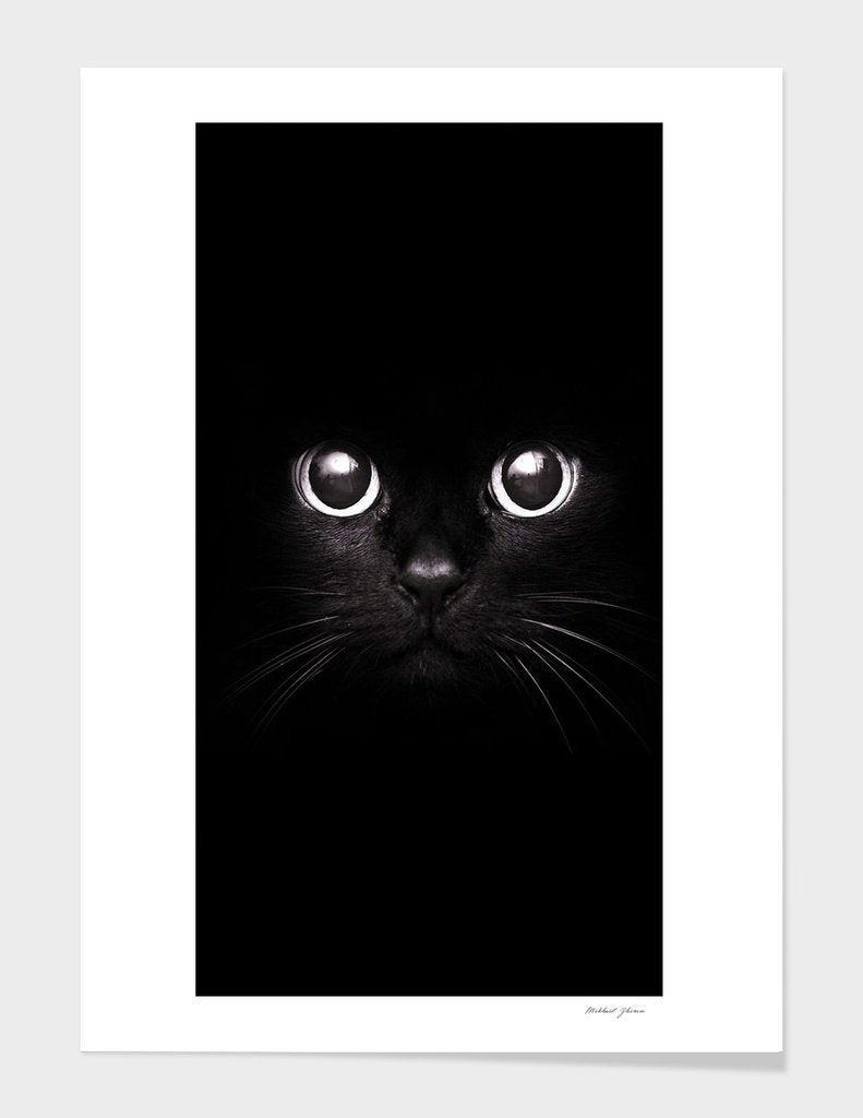 The Black Cat – Solid Wood Vector Frame